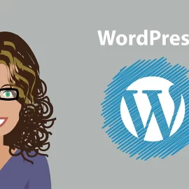 Rimidesigns About WordPress