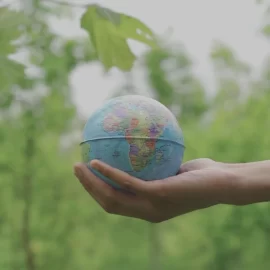 Rimidesigns Eco-Friendly Businesses