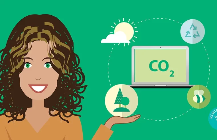 Rimidesigns Carbon Footprint