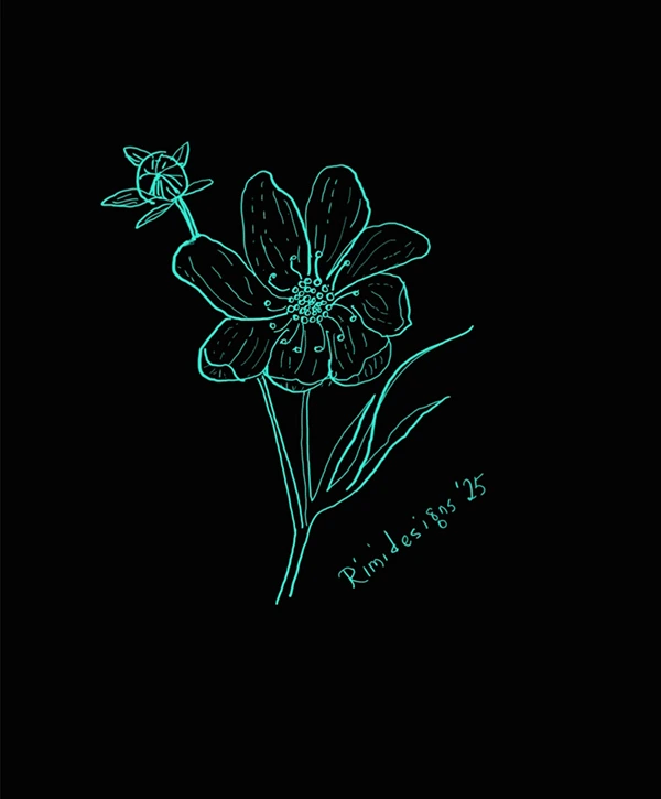 Cosmos Flower